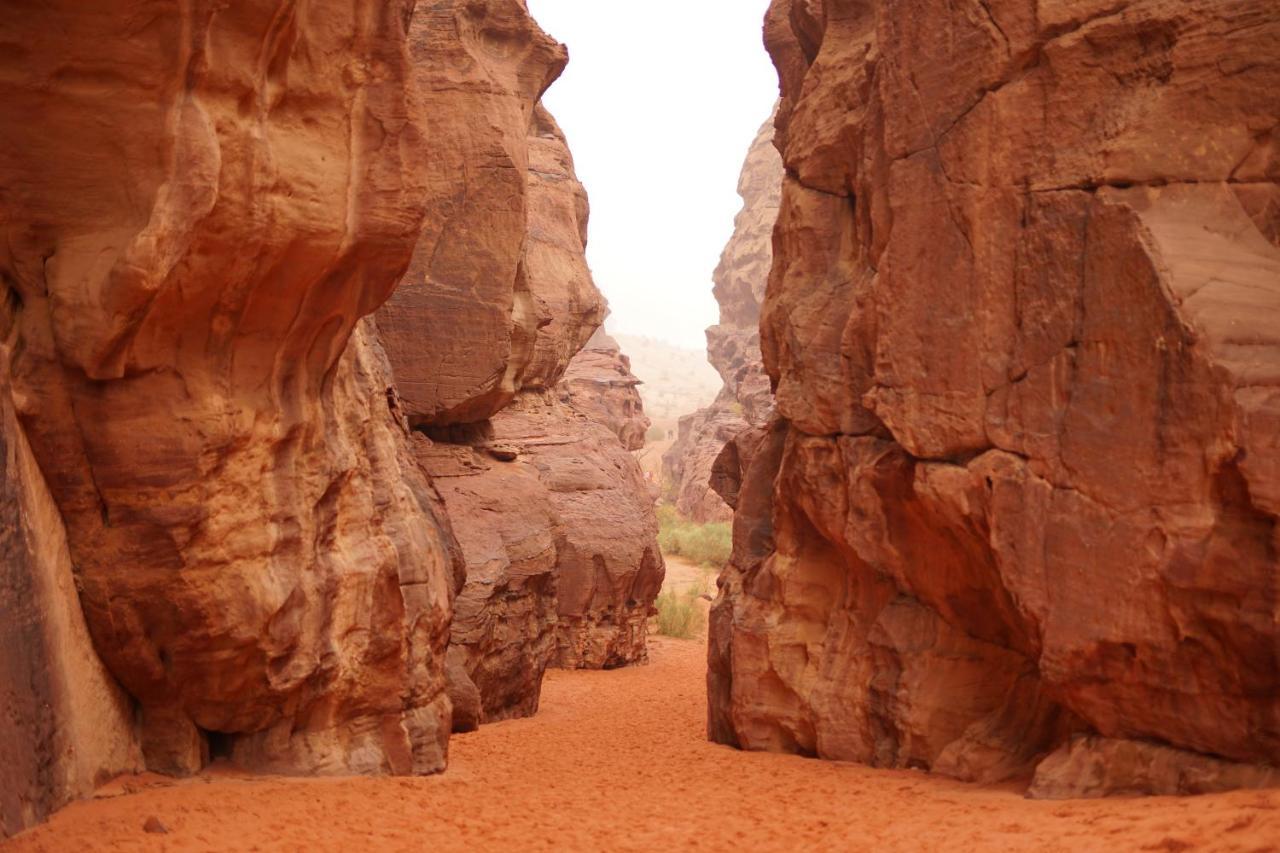 Hotel Quite Bedouin Life Wadi Rum Zewnętrze zdjęcie