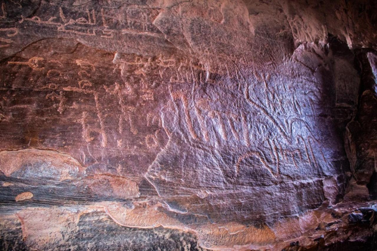 Hotel Quite Bedouin Life Wadi Rum Zewnętrze zdjęcie