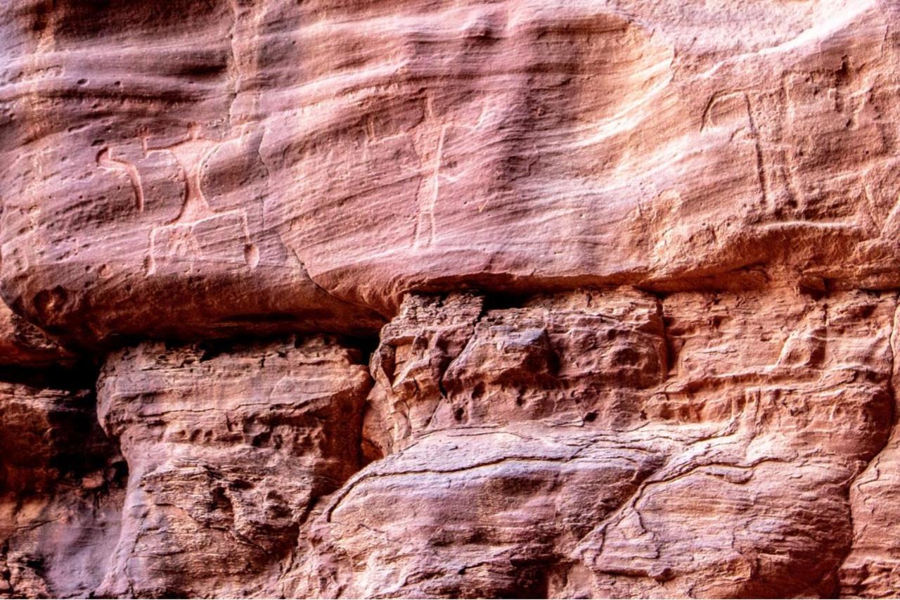 Hotel Quite Bedouin Life Wadi Rum Zewnętrze zdjęcie