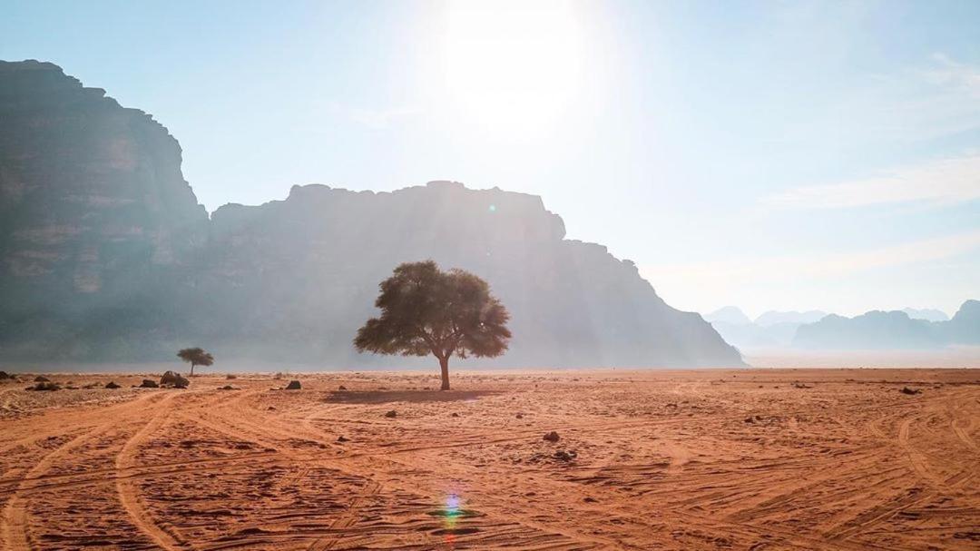 Hotel Quite Bedouin Life Wadi Rum Zewnętrze zdjęcie