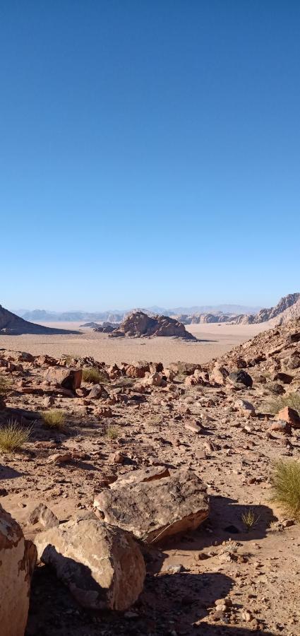 Hotel Quite Bedouin Life Wadi Rum Zewnętrze zdjęcie